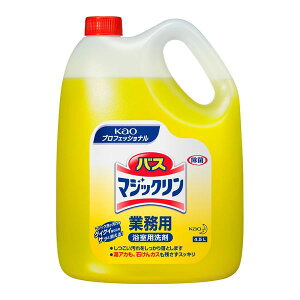 p AJ 玉    ʊ CX A؂ꑁ  ECX Ɩp e ƒp lC  OZ[ \ vp yɎg TbƗ |N
