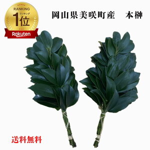  TJL {  _I _ _O _ _ Y Y RY R VR { lC s[g Ɨp ƒp _I _Zbg _pi 嗧ėp Ns Վp    v