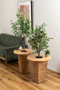 v^[e[u TChe[u e[u ؐ VR k  ~  Eh i` HOW-014NA