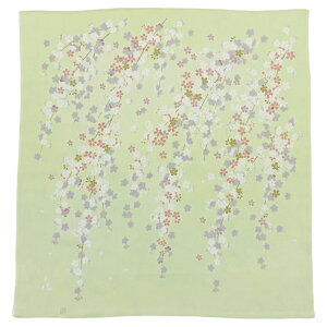 y121 |Cg10{zFヌ[C~  y΁z 68cm [ Mtg 䋟 ^yXg[ { [֑Ή