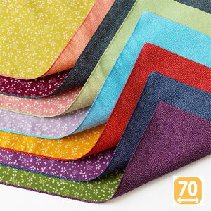 y|Cg5{ N[|sz񕝁i70cmj L/ |GXeʕC~ Iׂ7zF ӂ낵 ʐ a j GRobO Mtg s  {y[֑Ήiz