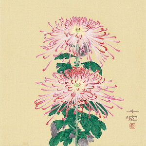 i45cmj { ߂񕗘C~ ygEez ӂ낵  VN i j j  o j `i Mtg s [֑Ή  {