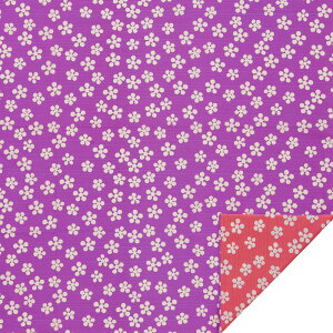 y|Cg5{ N[|sz103cm x~ ȃV^ʕC~s  t/ 唻ӂ낵 a Mtg  C p[v sN s  {y[֑Ήiz a 