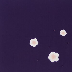 y|Cg10{ N[|sz ڂi~ ߂񕗘C~s  t/ ӂ낵 ގ ӂ  Mtg 70cm p[v s  {y[֑Ήiz a al