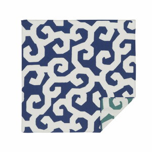 50cm@SOUESOU×r@ȃK[[ʕC~/܉EqE× a al