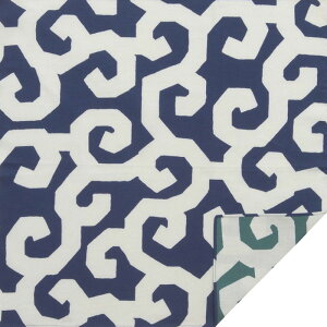 100cm@SOUESOU×r@ȃK[[ʕC~/܉EqE× a al