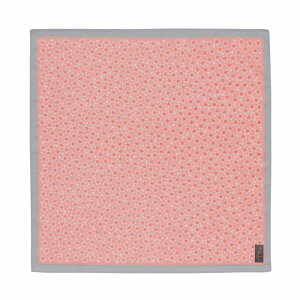 49cm@Ð@炵@ȃV^C~/sN×O[ a al