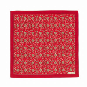 49cm@Eqq@ԂƓ@ȃV^C~/GW a al