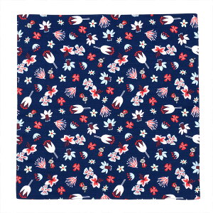 [~C~uKOBANAvC~ 50cm `NX ٓ Mtg { C~ 