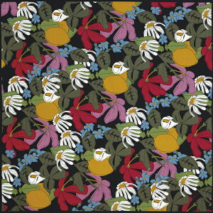 y|Cg10{ N[|szVr sybilla C~  唻  110cm obLK CG_ f A{ ubN Mtg GRobO NX { [֑Ή