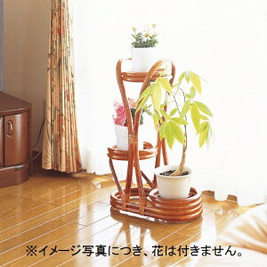 Ea16cmt[bNI@t[X^h40×s20×59cm}X@ِ ^W217 W-217