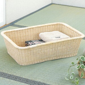 p^ E߂ oXPbg E߂  ʏ[ E߂ VR 54×s38×15cm  ʏ [ ^Ƌ@}XC20 C-20