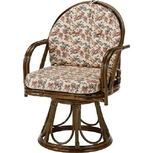 55×s53×81cm(ʍ43cm)]֎q nC^CvEh`FA[}X@ ^ƋS254B S-254B