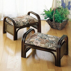 ��48×���s32×����28cm(���ʍ�23cm)�ق炭�炭���֎q���[�^�C�v 2�g���}���X�@�� ���^�����֎q �C�X �X�c�[��C10set C-10set