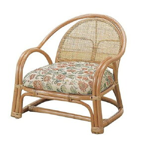 A[`FA52×s53×50cm(ʍ25cm)}X@ ^CX ֎qA[`FA[ [^CvBL100 BL-100