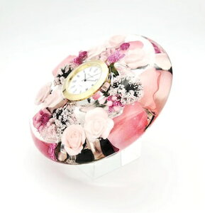 a15Z`sN[Y@5̒aԃh[NbNv~AԎv uv@A[gt[@g[YCDD0197PCL