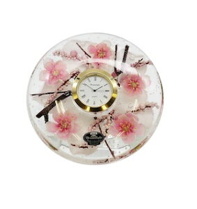 a15Z`@TN`F[ubTh[NbNv~AԎv uv@A[gt[@`F[ubTCDD01116CL