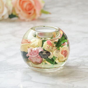 Aix }[L[AeB[NȐFʂ낤 @LhCgLhz_[@A[gt[Aix@CDD1974