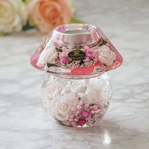 g[Y m[uX炵sN̉Ԃ낤 @LhCgLhz_[@A[gt[g[Y@CDD5397