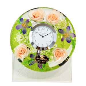 a11Z`ԁ@AC{[o@CUxh[NbNv~AԎv uv@A[gt[CUx@@CDD72109CL