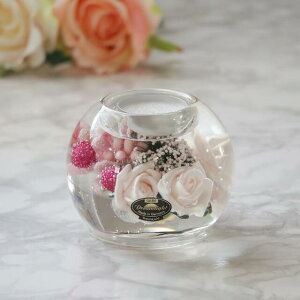 g[Y }[L[炵sN̉Ԃ낤 @LhCgLhz_[@A[gt[g[Y@CDD1997