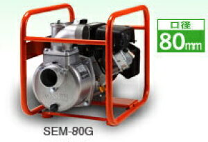 SEM-80GBOHGWڍHi GW|v4TCNnCfX|vSEM-80GB