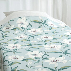 seora me �^�I���P�b�g�V���O���T�C�Y�@��140×190cm�z�����@�_�炩�Ȕ��G�胍�}���X����6635-3505-3700�@�u���[�F