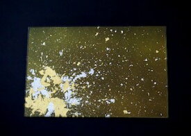 マジョ 皿 プレート ガラスプレート 約27.5×18.0×高さ0.5cm 漆塗りの洋食器 漆ガラス食器 お皿 食洗機対応 塗り工房ふじい MAJO マジョ 金箔グリーン Sサイズ 10-A-002