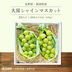 大房シャインマスカット 2房 400g-500g以上新潟・長野県産2023　お中元　夏ギフトC18