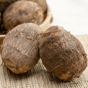 2025N1125܂łtD^I@ɏ̂˂Ƃ@Eɂ҂@@TCYL`2LE2.5kgܐ̗͂˂΂剳@ʂƂߐVܐsƂ@D9