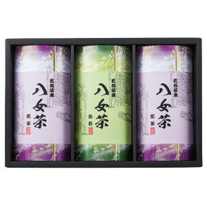 E100g@2Eܒ1Mtg   A jԂ TԂSGY-40@E9228-051