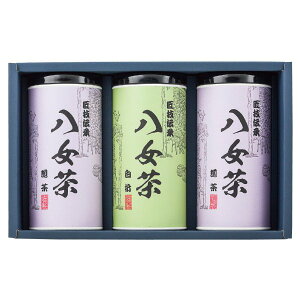 E120g@2ʁEܒ1ʔMtg   A jԂ TԂSGY-50@E9228-063