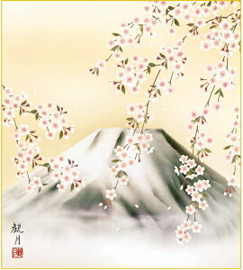 FH|F1 tHi ɕxm FXRό K5-011