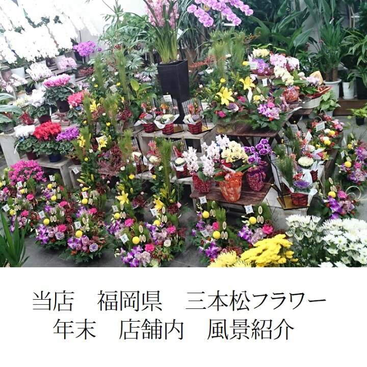仏花 生花 正月 2束 セット 花 花束 切り花 切花 フラワーショップ パイン Tokyo 仏花アレンジメント2点セット Royalroof Co Id