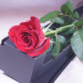 楽天市場 スタイルで選ぶ 薔薇 本数指定でバラ 三本松フラワー