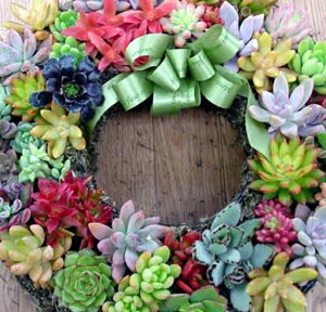 6CA(6jZbg A Zbg B ycZbg̔zYҋG߂̊񂹐Aޗ@(@A@Zbg̔)nY҂璼ڎdꔭi A Z