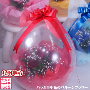 o[t[av[  KNoƃJX~\Ẽo[t[o[Mtg җj a@j ʔ o[̒ɉ v[g  nbs[o[XfBo[