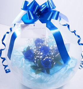 o[t[ o KN o u[[YƃJX~̃o[t[  a v[g jo[ t[Mtg o[Mtg t[o[ AW