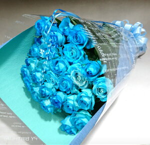 ỏԑy35{z3ނ̐oIׂ o u[[Y o  ԑ KN u[[Y LoN  a  v[g MtgLoN  ގ  