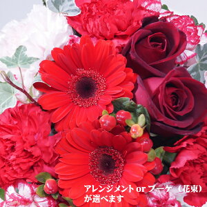 AWgoru[PiԑjLTCY@av[g  j   Mtg  j a v[g @t[Mtg Mtg v[g@ԁ@@t t @