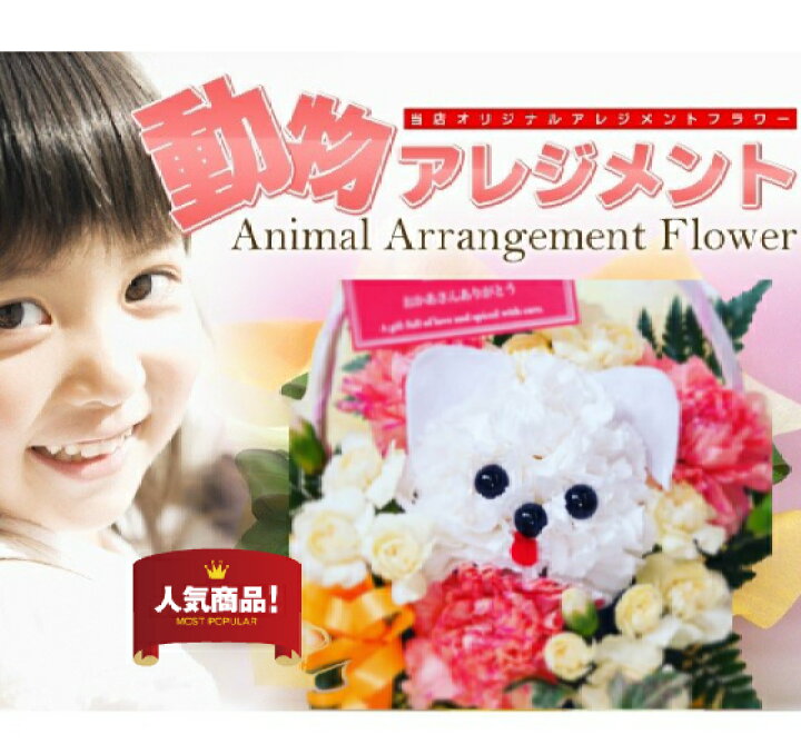 楽天市場 母の日 プレゼント アレンジメント 動物 アレンメント アニマル フラワーアレンジ マザーズデー ギフト 感動 プレゼント 生花 お花 花束 生花 イヌ アレンジ カーネーション 犬 動物 ペット 好き 花 母 アレンジメント 犬 イヌ 年4月 月間優良ショップ受賞