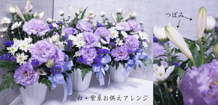 楽天市場 お供え 花 御供アレンジメントm1 季節の生花をアレンジお供え 花 法事 花 仏事 命日 月命日 四十九日 枕花 ペットのお供えに 三回忌に 贈るもの 周期法要 仏壇 名札 和風 和花 洋花 容器付 バスケットカゴ 供養 枕花 法事 お寺 仏花 立て札無料 ペット