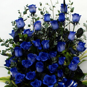 o30{O[̃AWg30{yp^Cvz KN o 3ނ̐oIׂ܂@yoE\zyyԁẑ܂܏ AW  v[g KN 