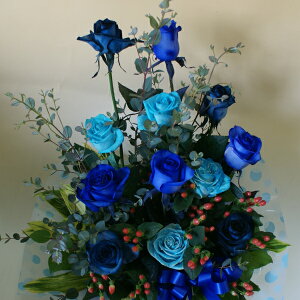 o15{&O[yp^Cvz AWgoiKNj Ԍt/_̏j/Ճv[g@KN o u[[Y LoN  a  v[g Mtg