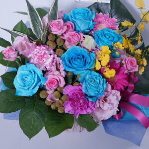 oAWg o5{Ƒ̉ԂăIWi o KNyEɈ̑蕨􂨒a@TvCYȑ蕨zyoE\zyyԁz  F 