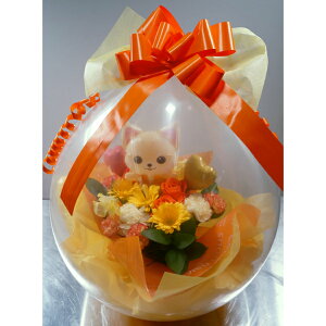 o[t[ t[AWgo[Mtg av[gyԁz a j o[ t[Mtg o[o[t[ o[d t