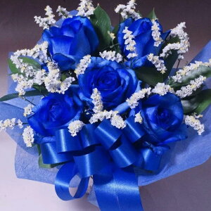 o5{O[AWgyԁzảԁ^Vzj^JXj^yjzyazLO v[g KN o ʔ u[[Y p[eB[ L