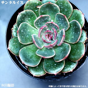 AyT^CXzGPxAyCeA@~jO[ϗt z7.5cm|bg1 0ZbgƓwł  ~jϗt ~j@^jNVNuc@AS 