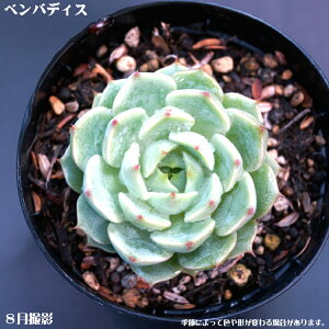 AyxofBXzGPxAyCeA@~jO[ϗt z7.5cm|bg10ZbgƓwł@~jϗt@@^jNVNuc@GPxA@@ϗt@