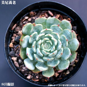 Ay{VzGPxA yCeA@~jO[ϗt z7.5cm|bg10ZbgƓwł@~jϗt@~j@@^jNVNucq